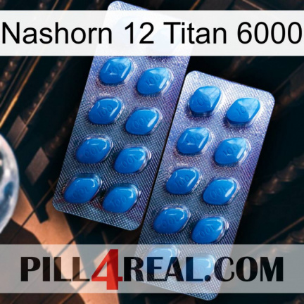 Rhino 12 Titanium 6000 viagra2